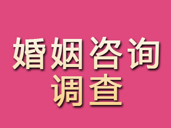 定日婚姻咨询调查