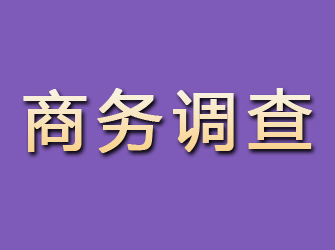 定日商务调查